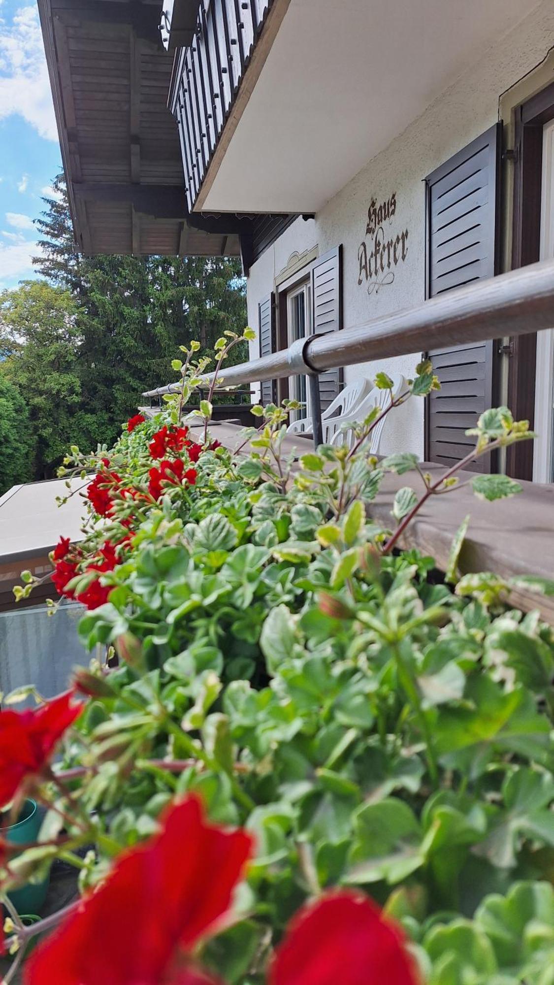 Apartament Haus Ackerer Leogang Zewnętrze zdjęcie